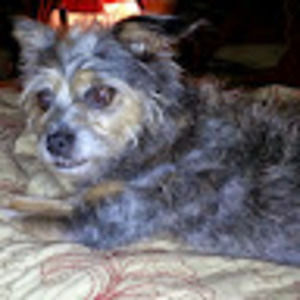 Meet your Posher, Charlotte